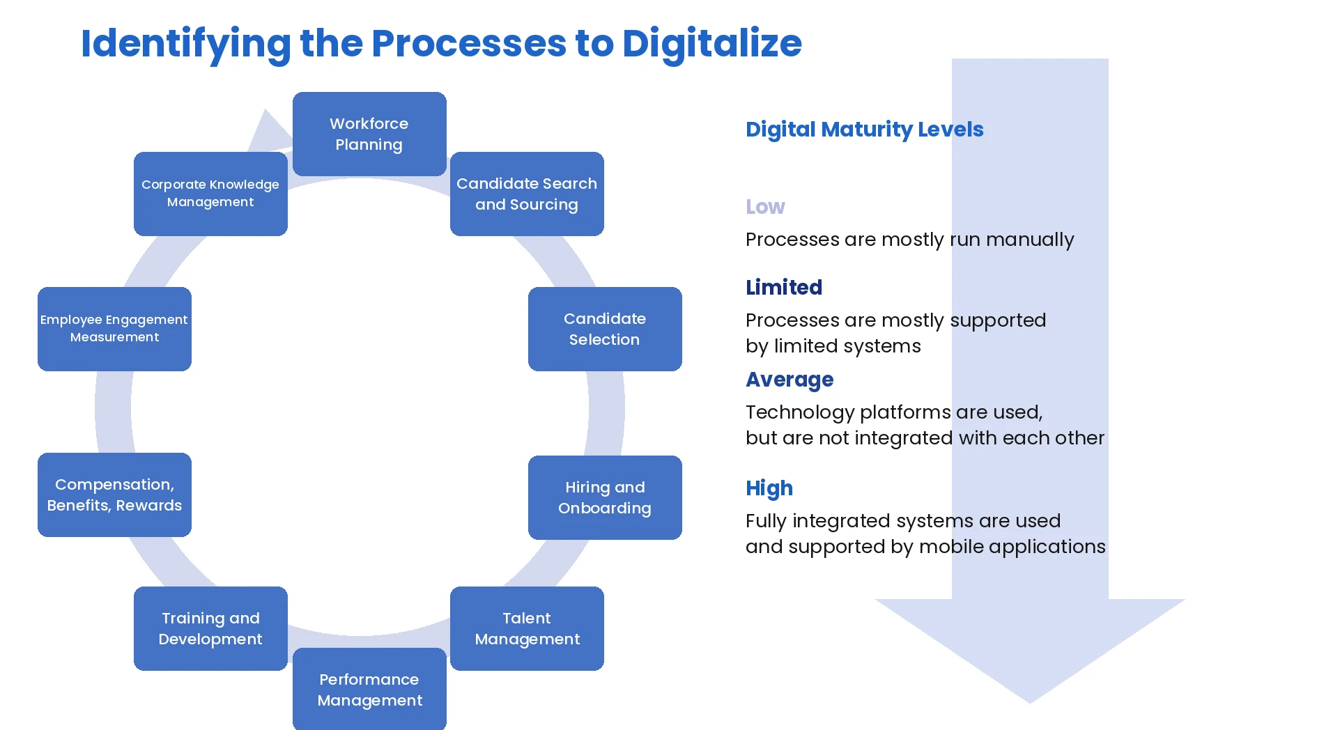 Identifying the processes to digitise, and digital maturity levels